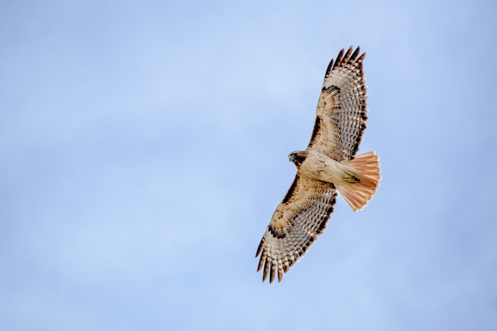 Tagged proposal title for locale en